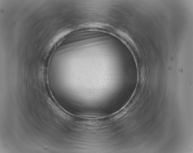 X0000081441404200701261836