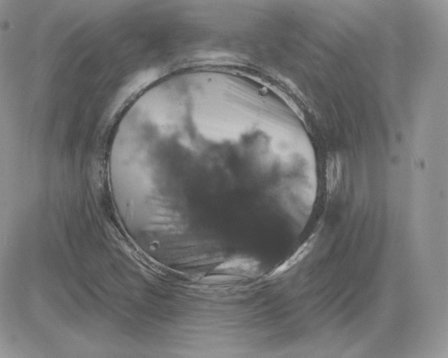 X0000081441405200701261836