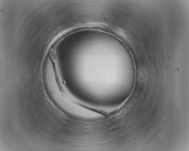 X0000081441412200701261836