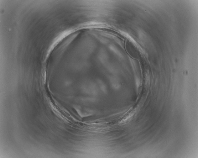 X0000081441413200701261836