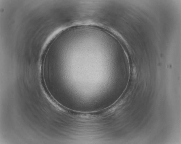 X0000081441416200701261836