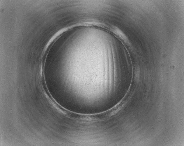 X0000081441420200701261836