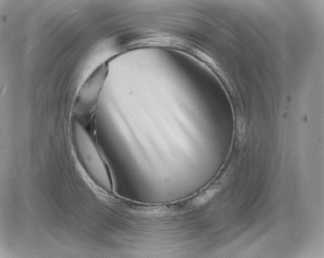 X0000081441426200701261836