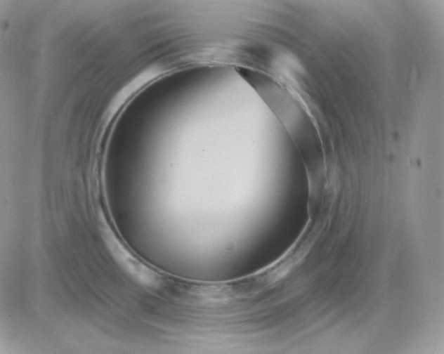 X0000081441434200701261836