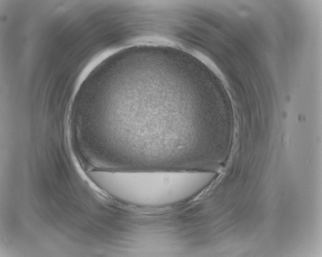 X0000081441440200701261836