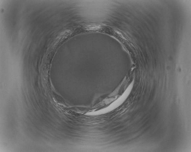 X0000081441441200701261836