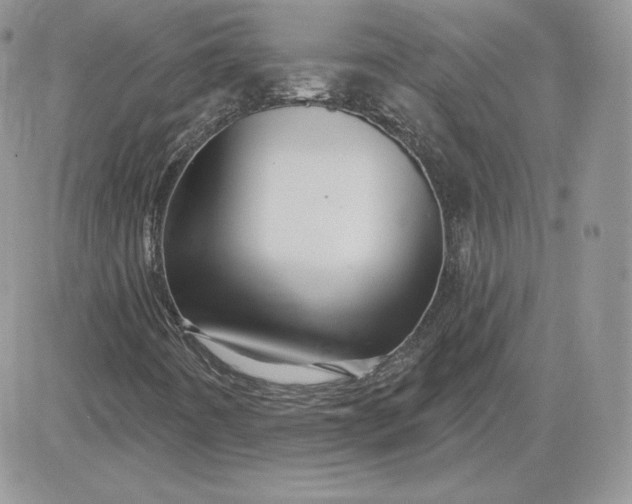 X0000081441442200701261836