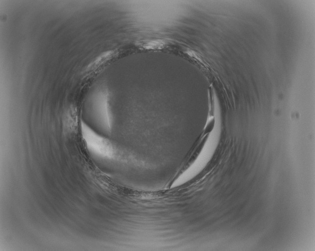 X0000081441443200701261836