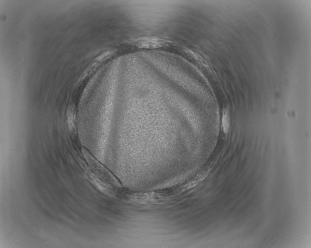 X0000081441444200701261836