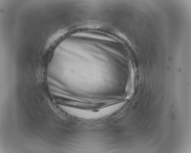 X0000081441448200701261836