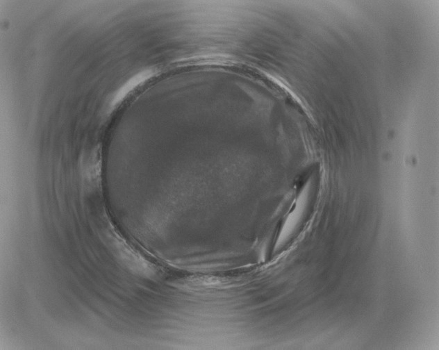 X0000081441450200701261836