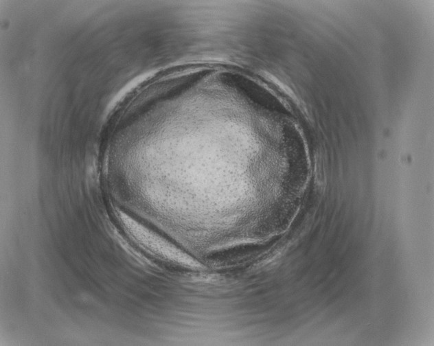 X0000081441452200701261836