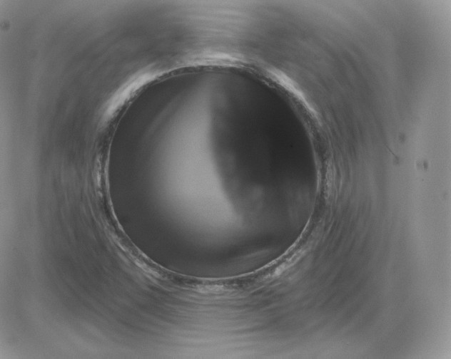 X0000081441455200701261835