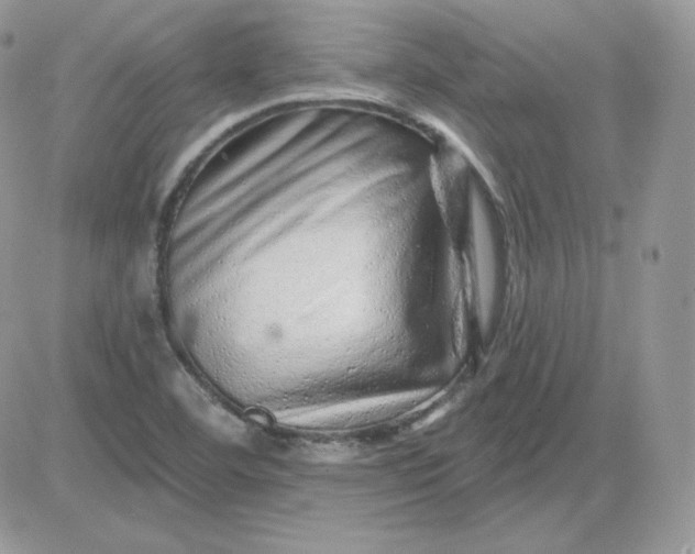 X0000081441460200701261835