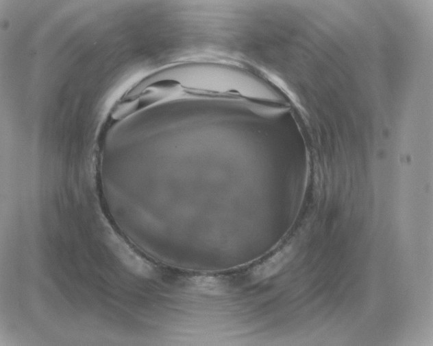 X0000081441463200701261835