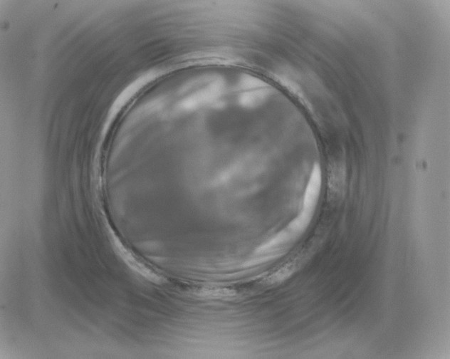 X0000081441466200701261835