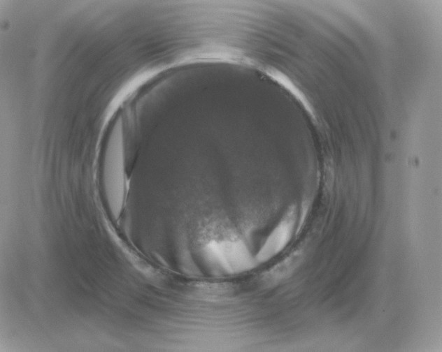 X0000081441469200701261835