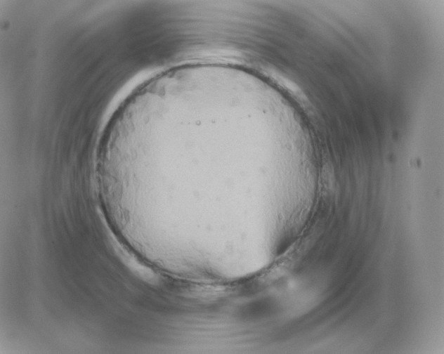X0000081441470200701261835