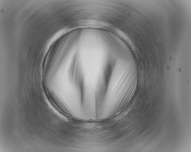 X0000081441479200701261835