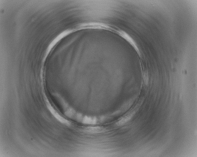 X0000081441482200701261835