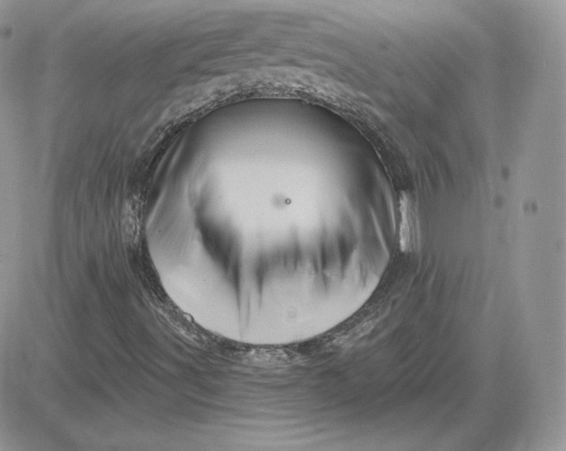 X0000081441491200701261834