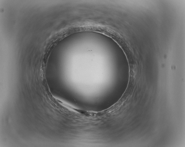 X0000081441493200701261834