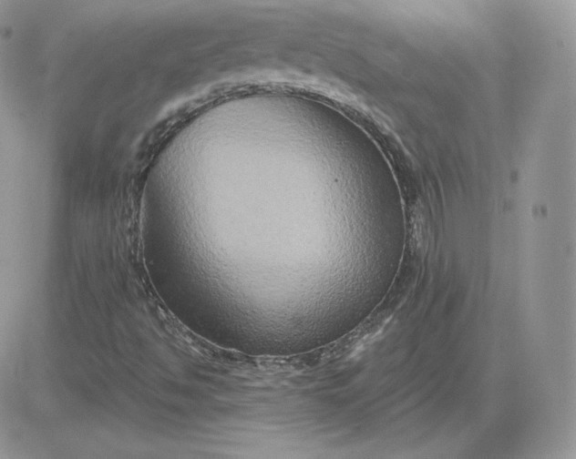 X0000081441494200701261834