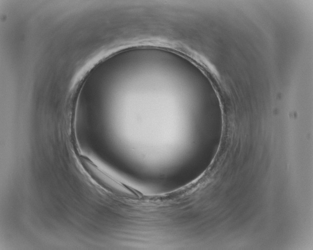 X0000081441504200701261834