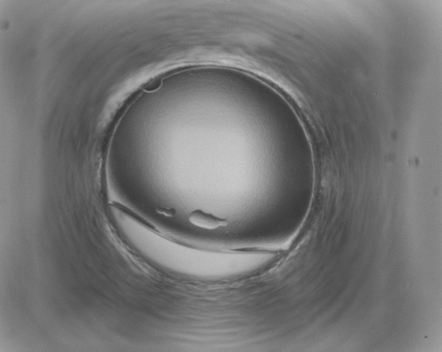 X0000081441507200701261834
