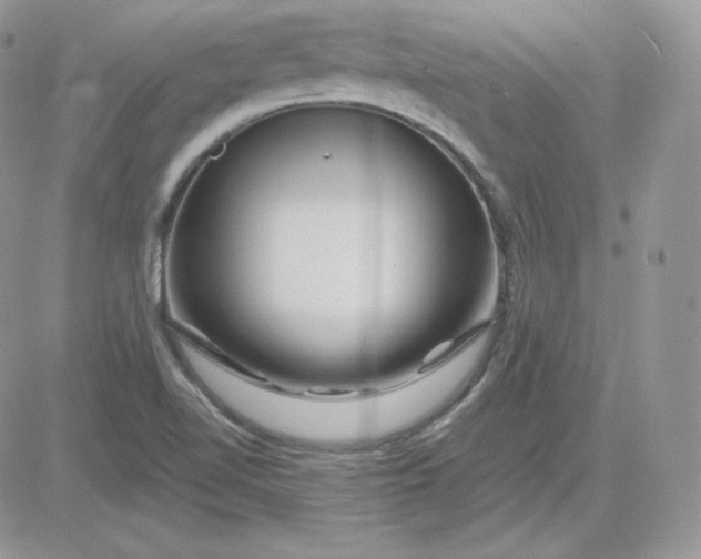 X0000081441510200701261834
