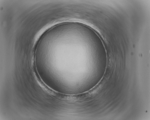 X0000081441511200701261834