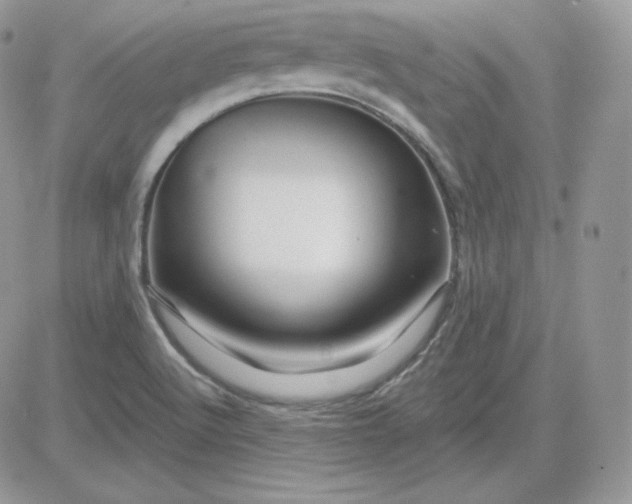 X0000081441512200701261835