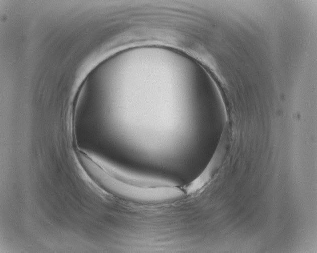X0000081441516200701261835