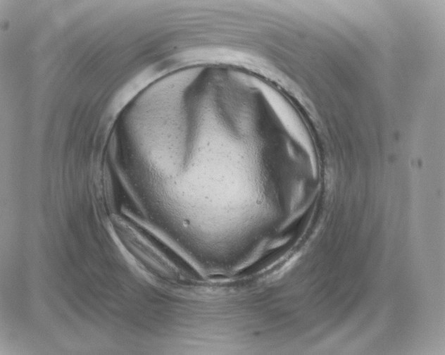 X0000081441521200701261835