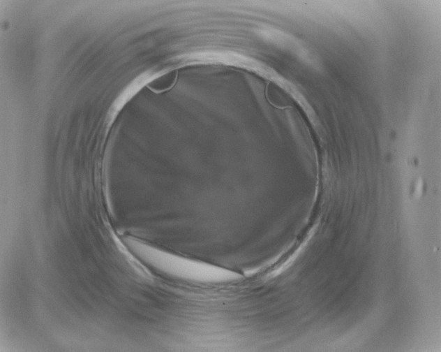 X0000081441529200701261835