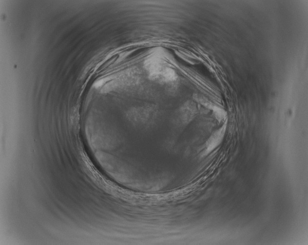 X0000081440002200702021729