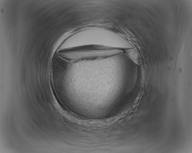 X0000081440003200702021729