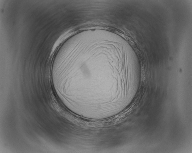 X0000081440004200702021729