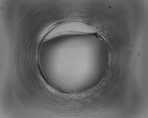 X0000081440005200702021729