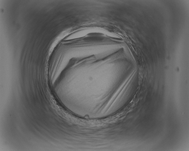 X0000081440006200702021729
