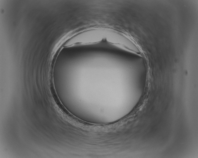 X0000081440007200702021729