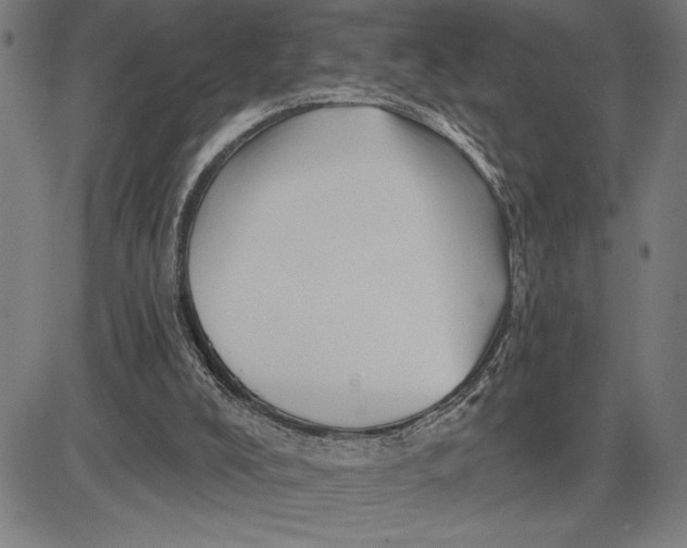 X0000081440008200702021729