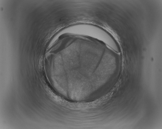 X0000081440009200702021729