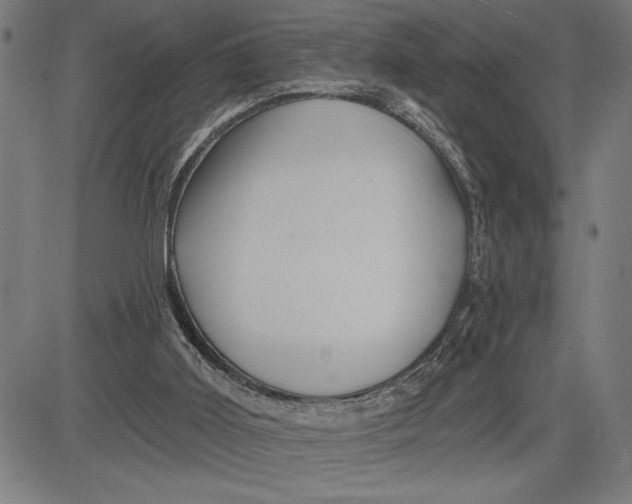 X0000081440011200702021729