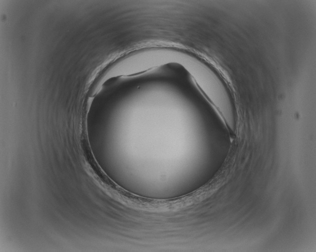 X0000081440015200702021729