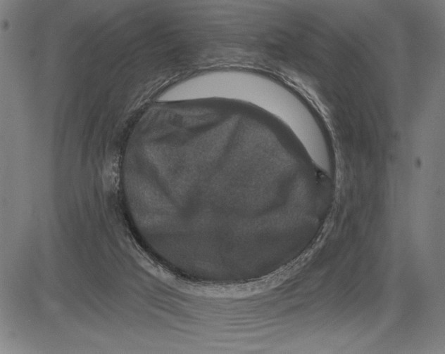 X0000081440017200702021729