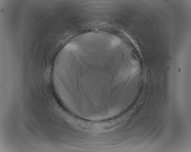 X0000081440018200702021729