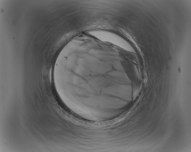 X0000081440019200702021728