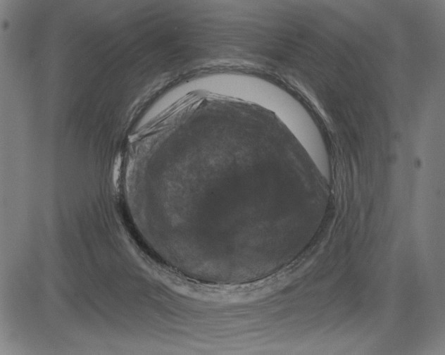 X0000081440023200702021728