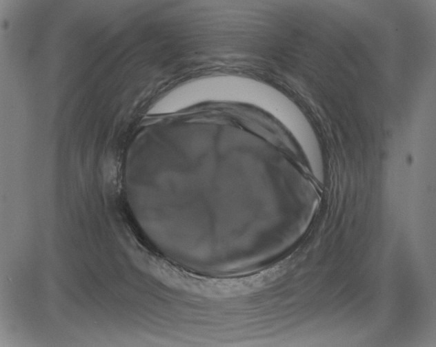 X0000081440031200702021728